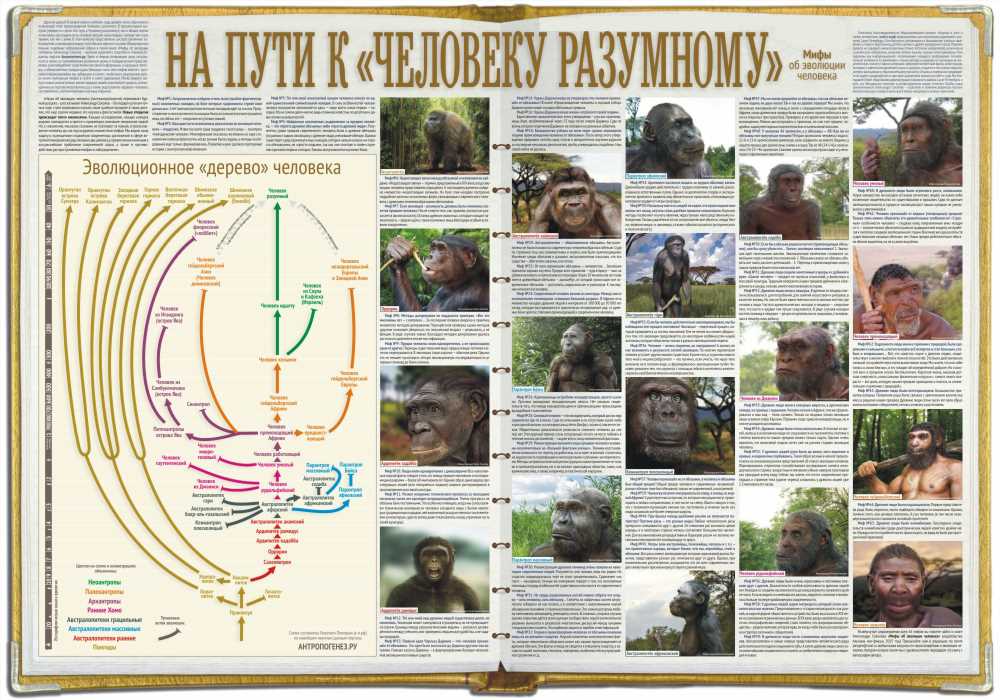 10 Убедительных Доказательств Того, Что Ваша Жизнь Хороша