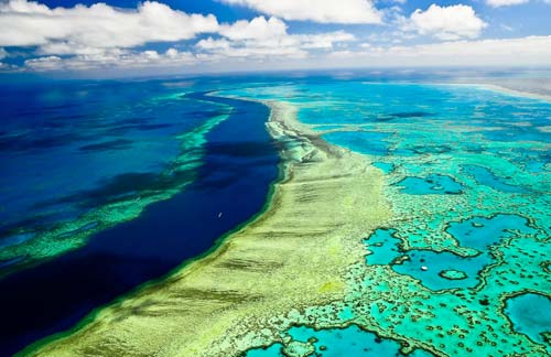 Большой Барьерный Риф Австралии: Великолепие подводного мира в фотографиях