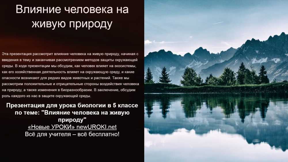 Исследование Мест Обитания: Как Они Влияют на Жизнь и Природу