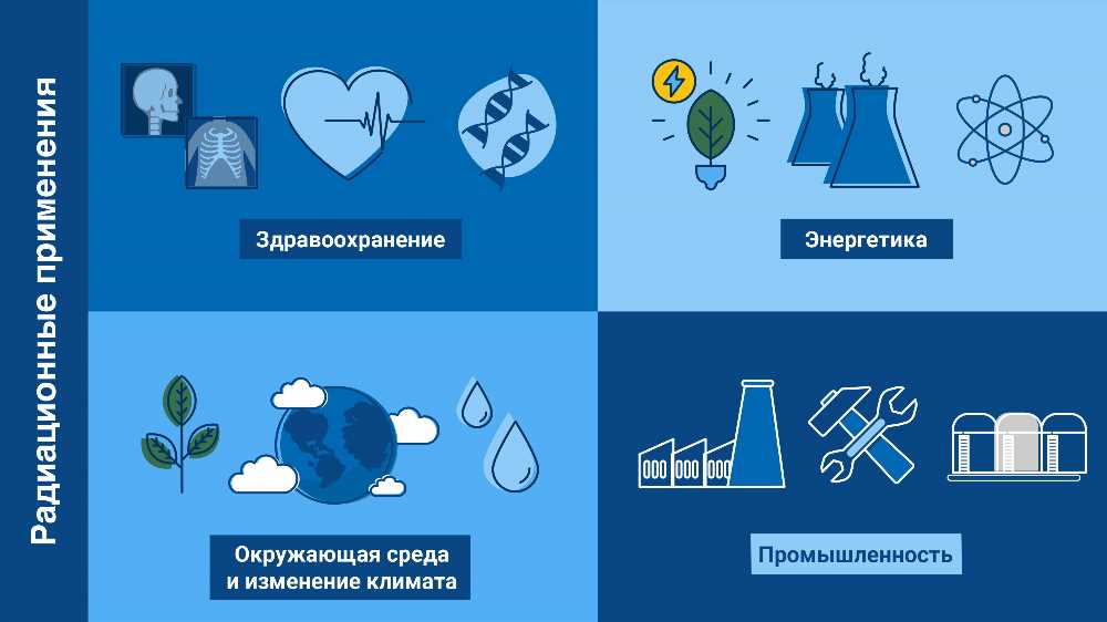 Исследование Применения Листьев в Различных Областях: От Питания до Медицины