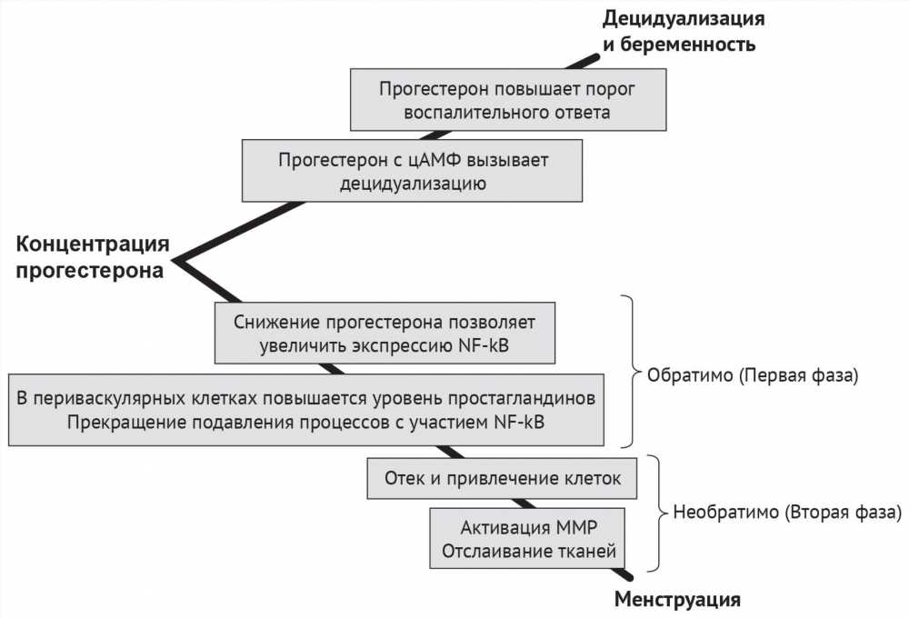 Как прекратить месячные: эффективные способы управления менструальным циклом