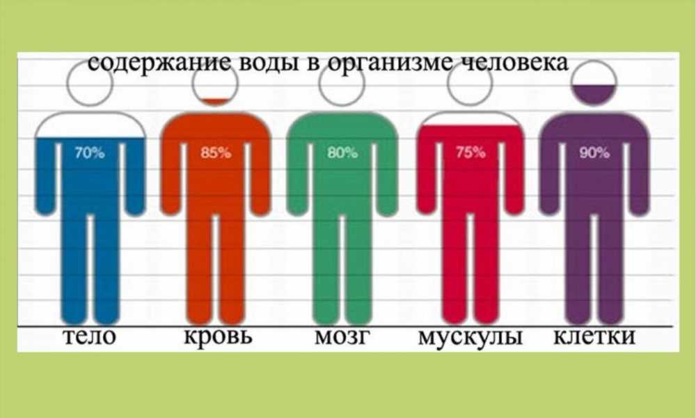 Какие факторы приводят к застою воды в клетках: понимание основных причин