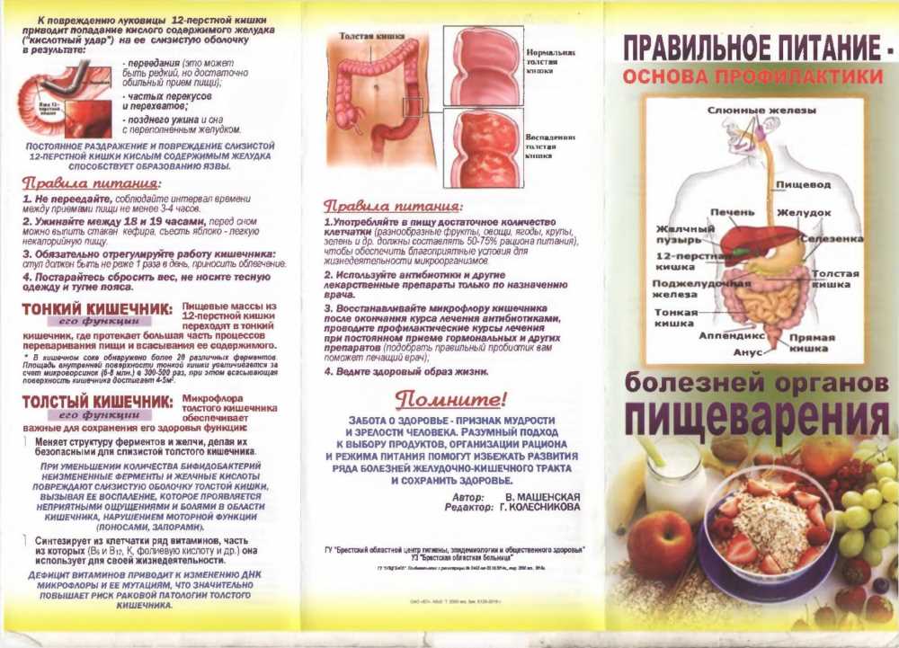 Лучшие продукты с послабляющим действием на кишечник: Путь к здоровому пищеварению