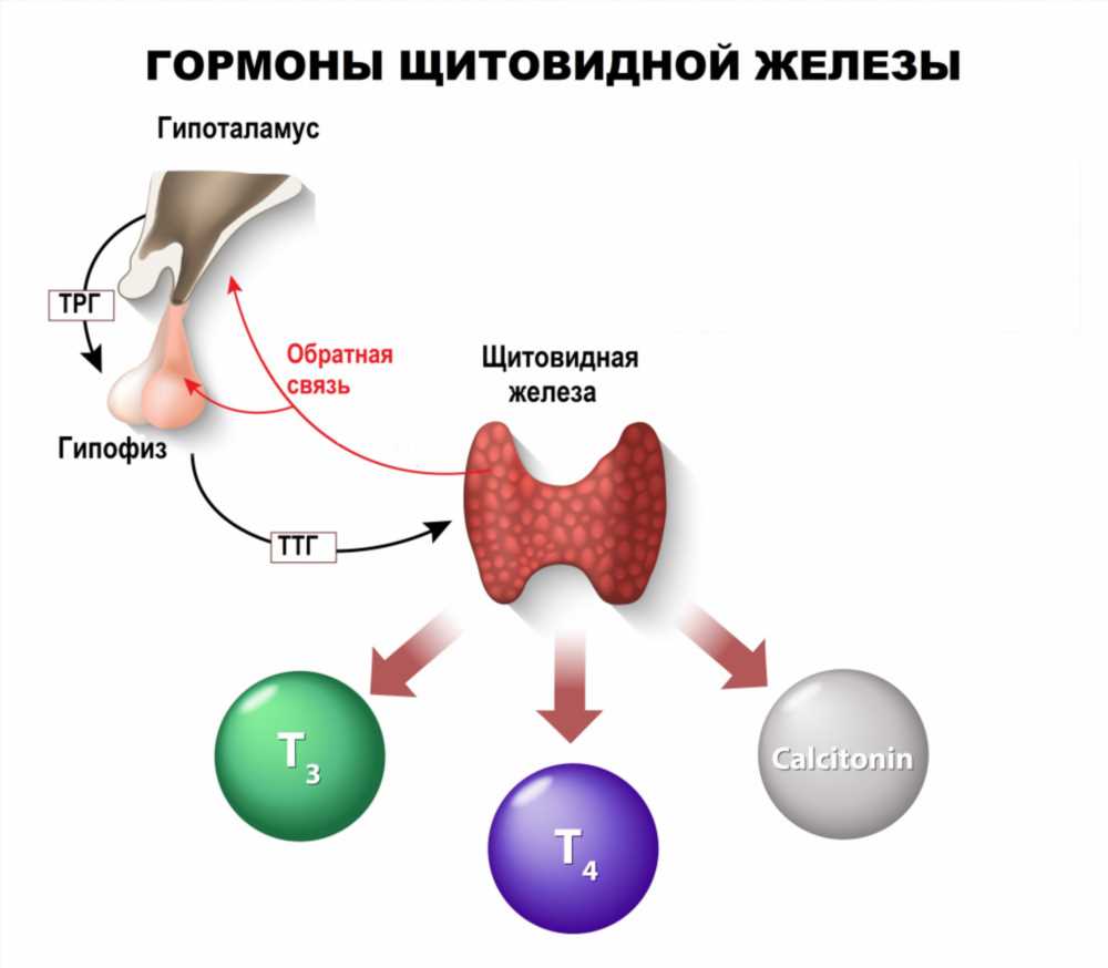 Патогенез Воспаления: Разбор Механизмов и Влияние на Организм