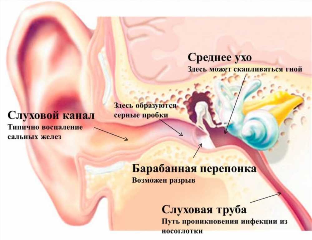 Почему У Вашего Ребенка Болит Ухо? Причины и Советы для Родителей