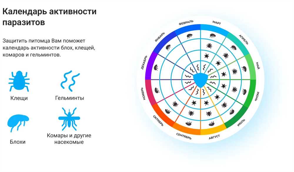 Полное руководство по классификации противоглистных средств: типы, действие, применение