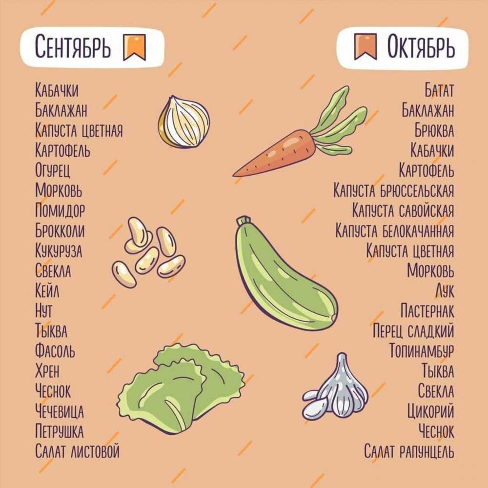 Сезонные фрукты и овощи по месяцам: таблица