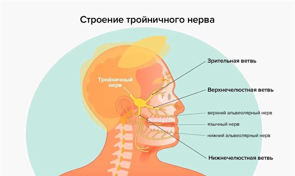 Уход за кожей: всё, что вам нужно знать о каналах височной кости