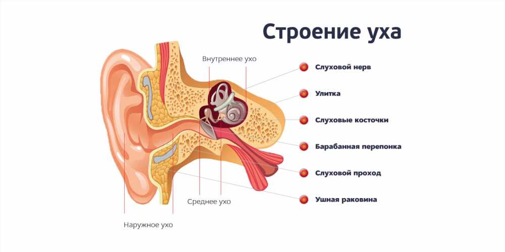 Важные Признаки Отита у Детей: Как Распознать и Принять Необходимые Меры