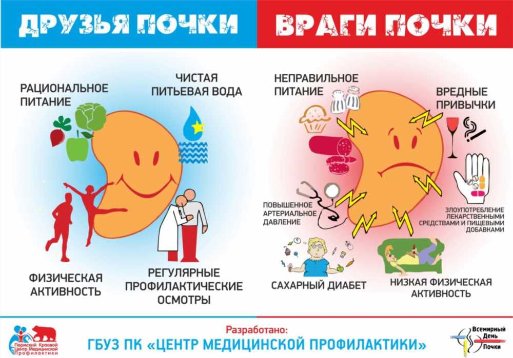 Всё, что вы должны знать о симптомах почечных патологий