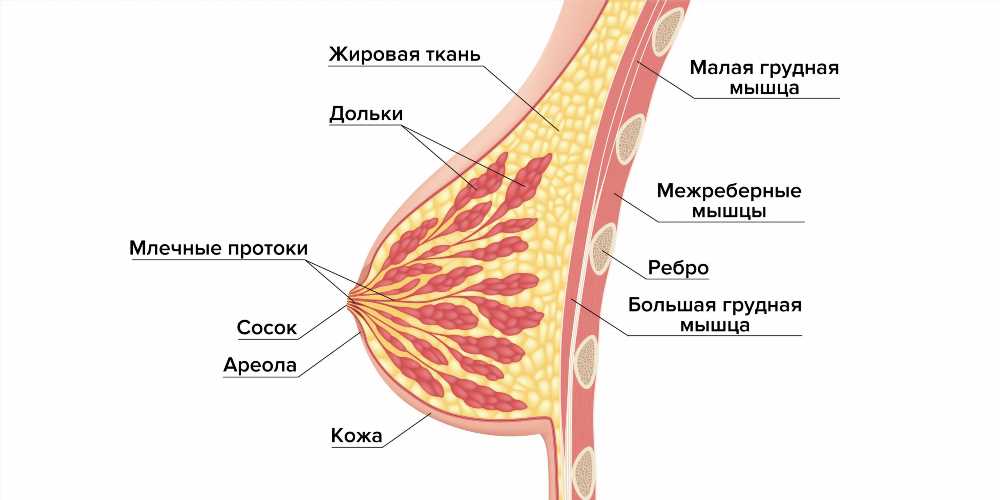 Выделения из сосков: норма или патология